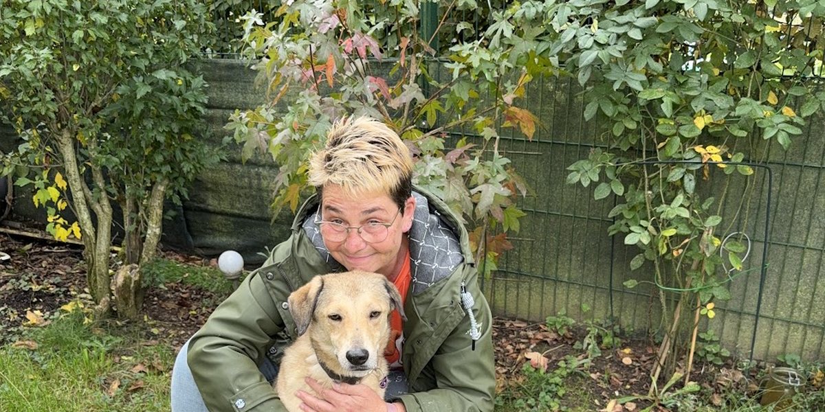 Hund austherapiert: wenn du alles probiert hast und trotzdem keine Ruhe reinkommt