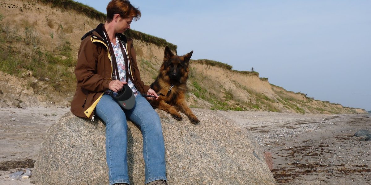 Jeder sagt etwas anderes über deinen Hund. Und jetzt?