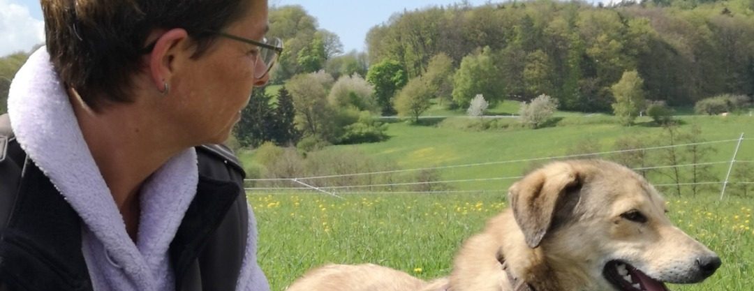 Warum dein Hund unter starkem Stress kaum noch lernen kann
